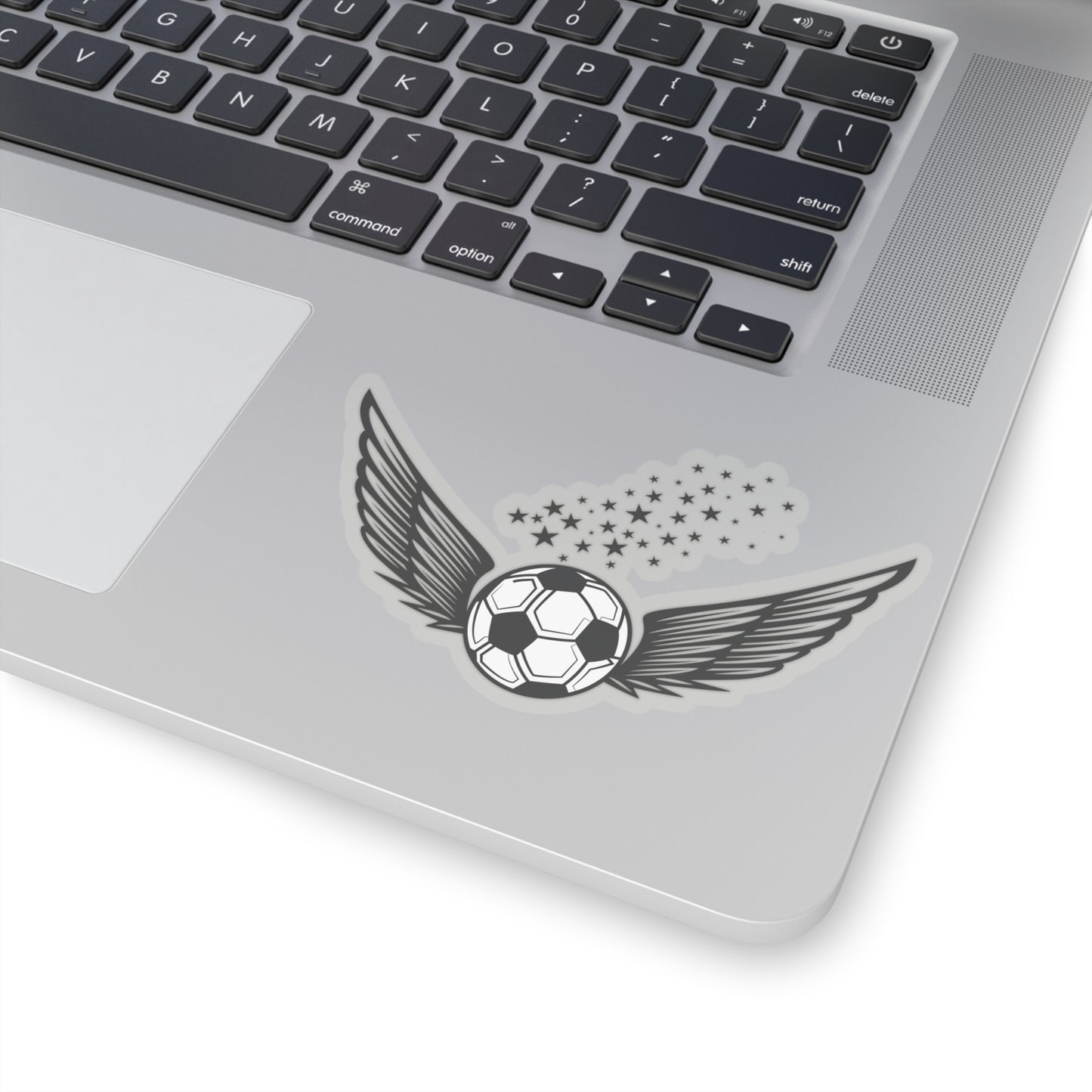 Soccer Ball with Wings