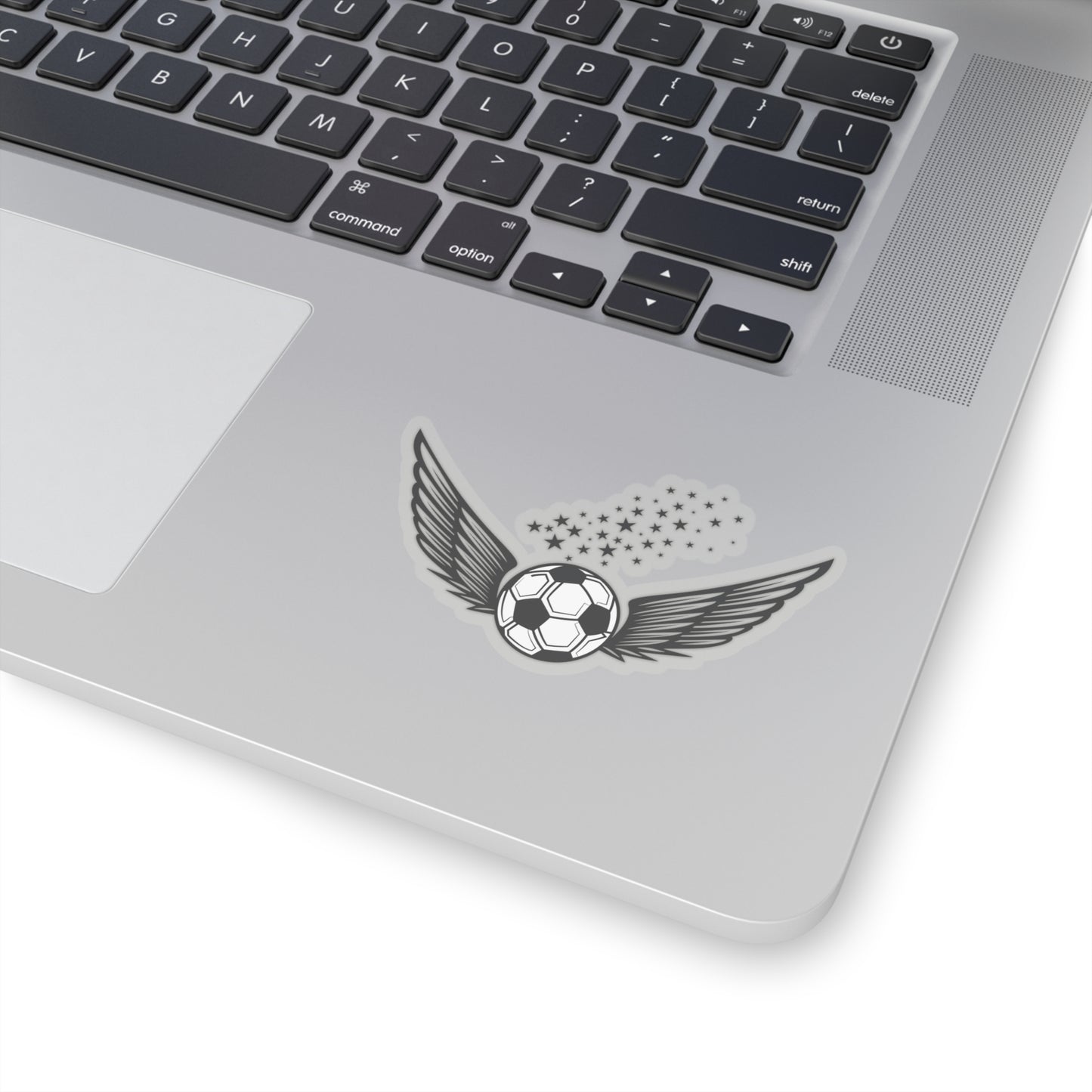 Soccer Ball with Wings